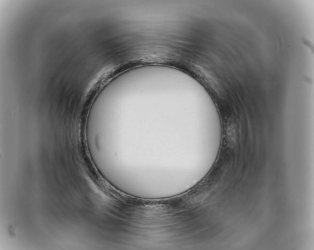 X0000095910686200801110828