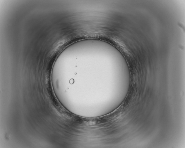 X0000095910687200801110828