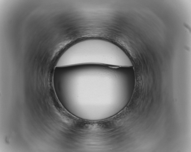 X0000095910688200801110828