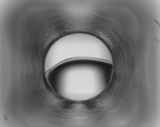 X0000095910689200801110828