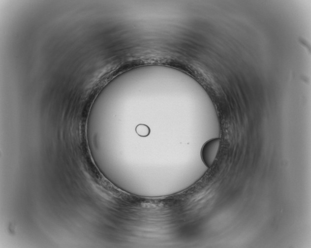 X0000095910690200801110828