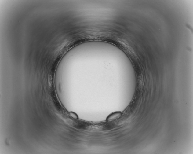 X0000095910691200801110828