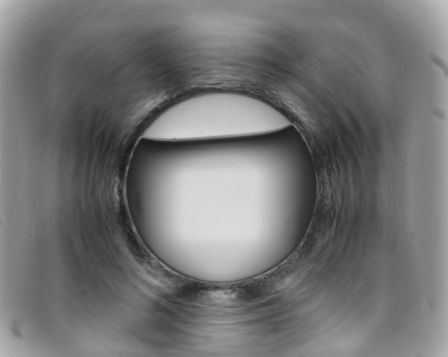 X0000095910692200801110828