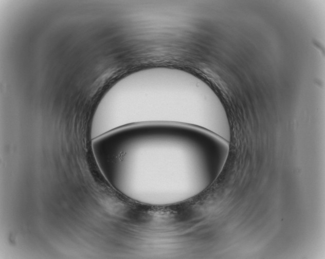 X0000095910693200801110828