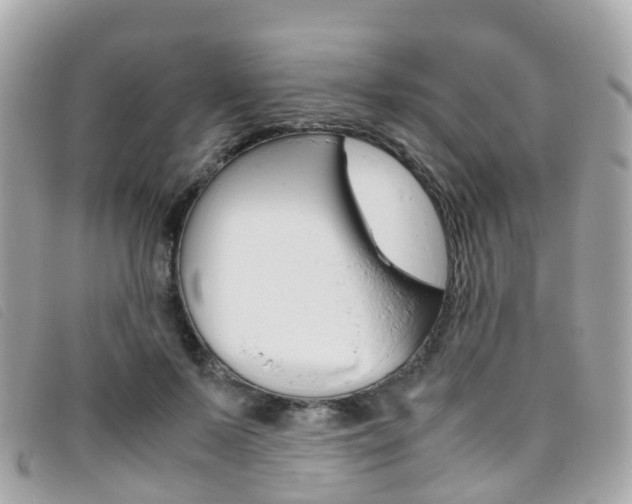 X0000095910695200801110828