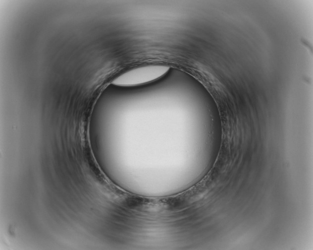 X0000095910696200801110827