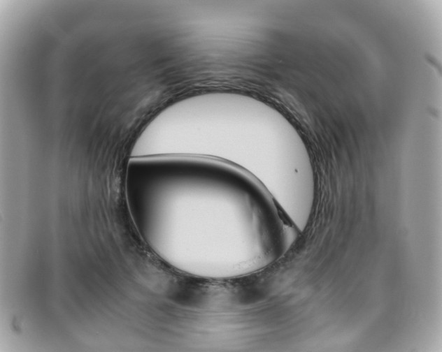 X0000095910697200801110827