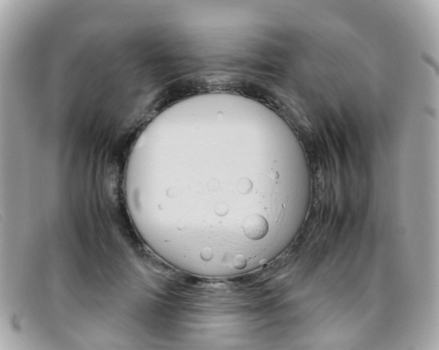 X0000095910698200801110827
