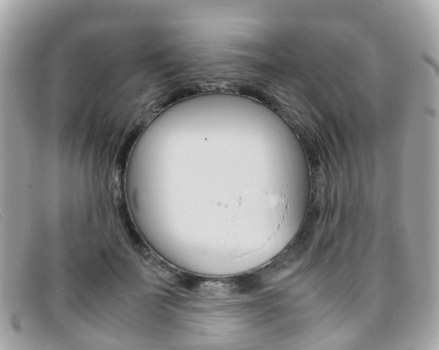 X0000095910699200801110827