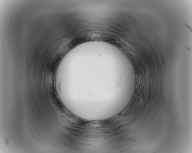 X0000095910702200801110827