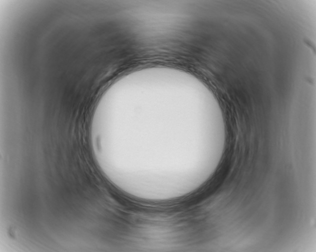 X0000095910705200801110827