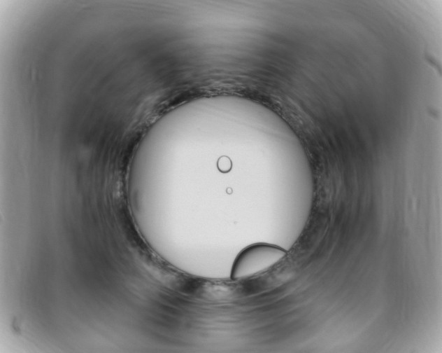 X0000095910706200801110827