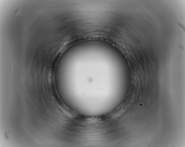 X0000095910708200801110827