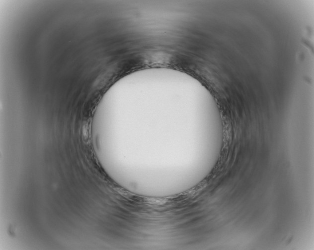 X0000095910709200801110827