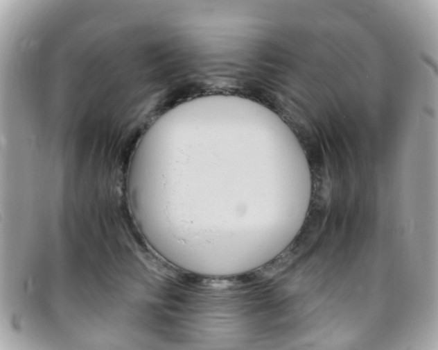 X0000095910710200801110827