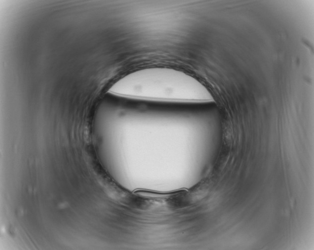 X0000095910715200801110827