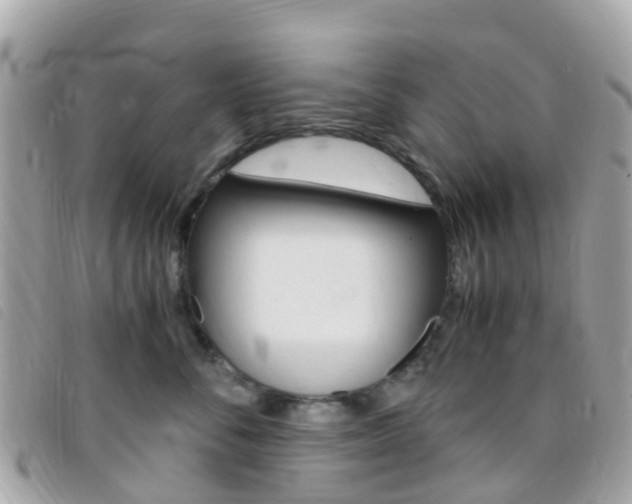 X0000095910716200801110827