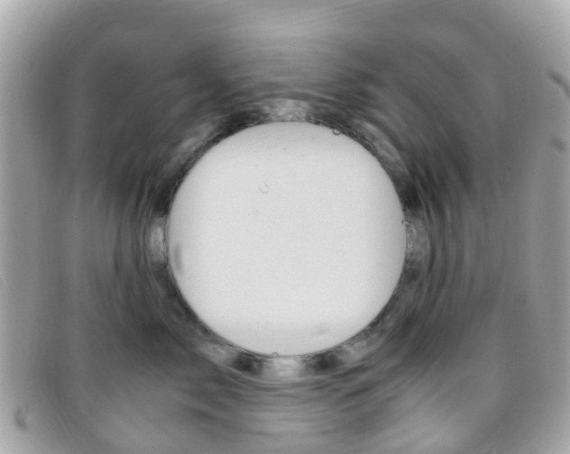 X0000095910717200801110827