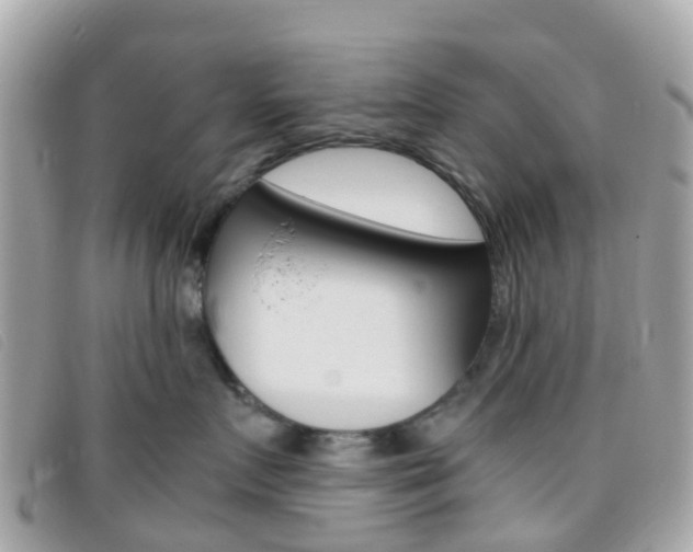 X0000095910719200801110827