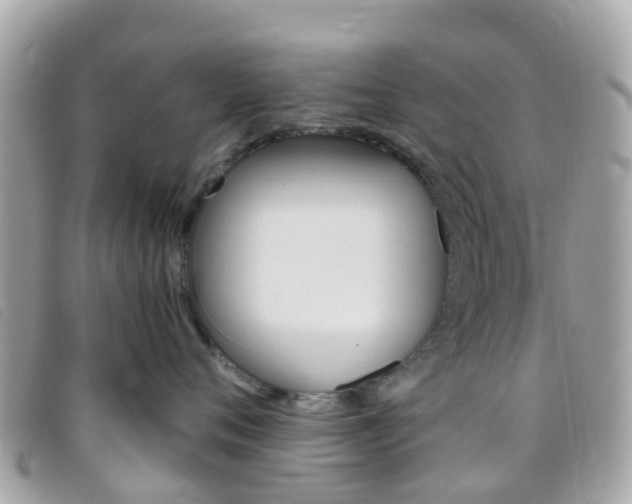 X0000095910720200801110827