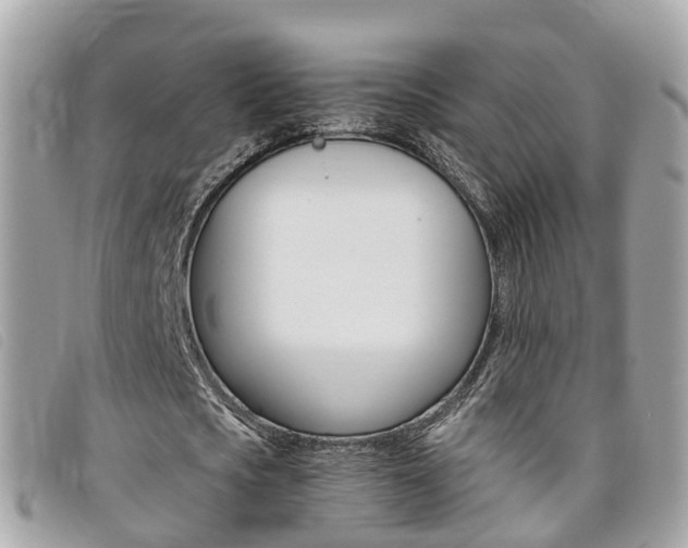 X0000095910721200801110826