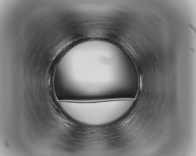 X0000095910723200801110826