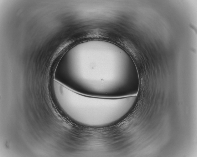 X0000095910724200801110826