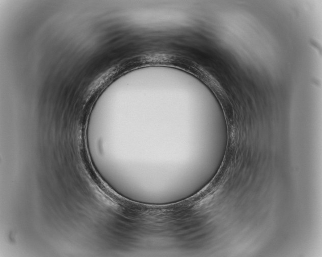 X0000095910725200801110826