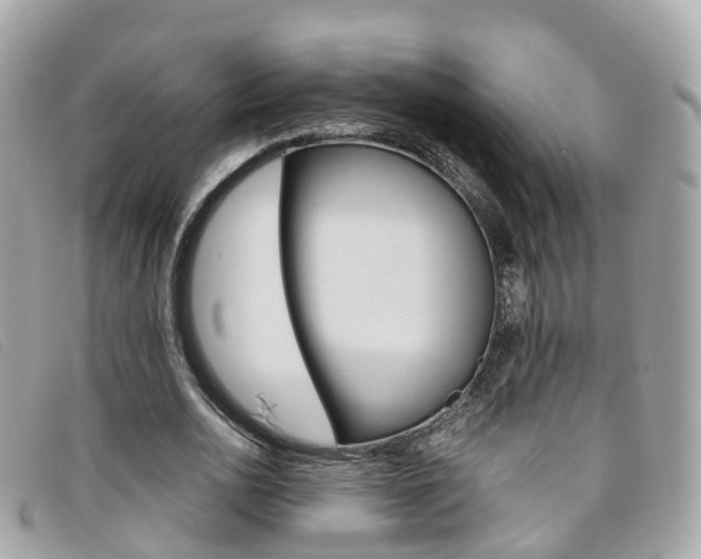 X0000095910726200801110827