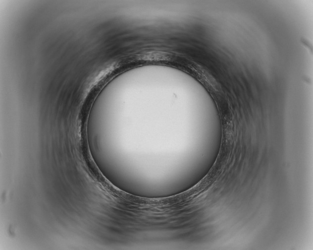X0000095910727200801110827
