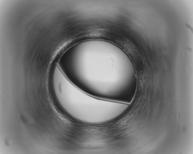 X0000095910728200801110827