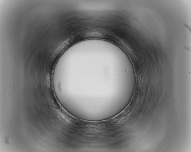 X0000095910729200801110827