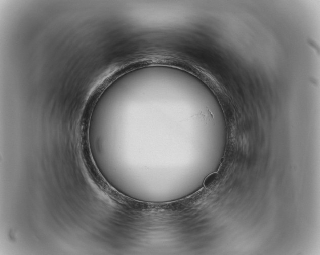 X0000095910730200801110827