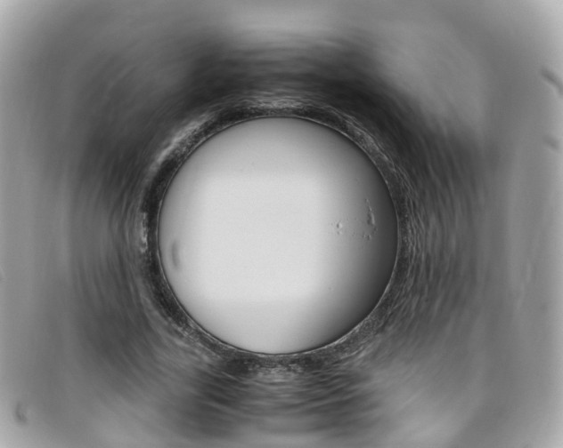 X0000095910731200801110827