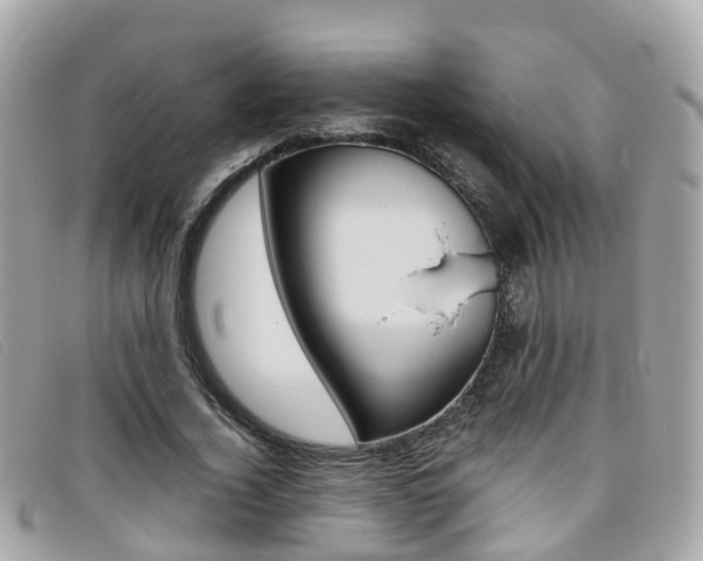 X0000095910732200801110827