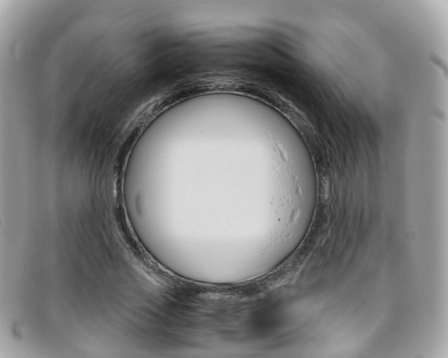 X0000095910733200801110827