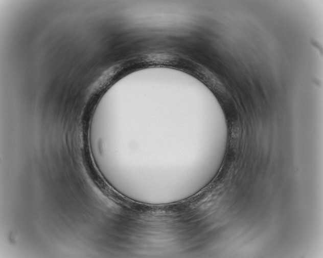 X0000095910734200801110827