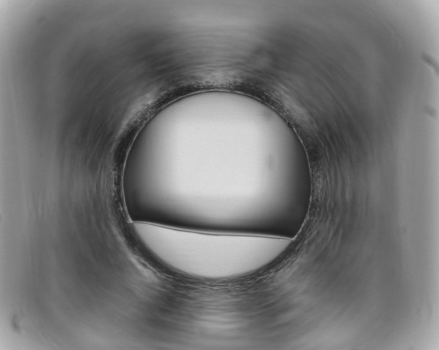 X0000095910736200801110827