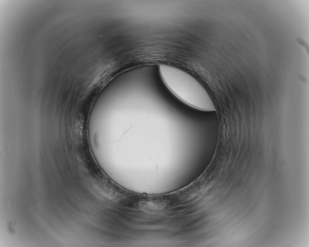 X0000095910739200801110827