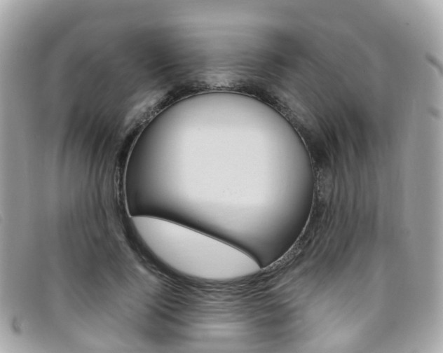 X0000095910740200801110827