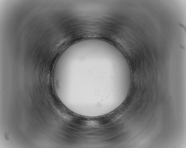 X0000095910741200801110827