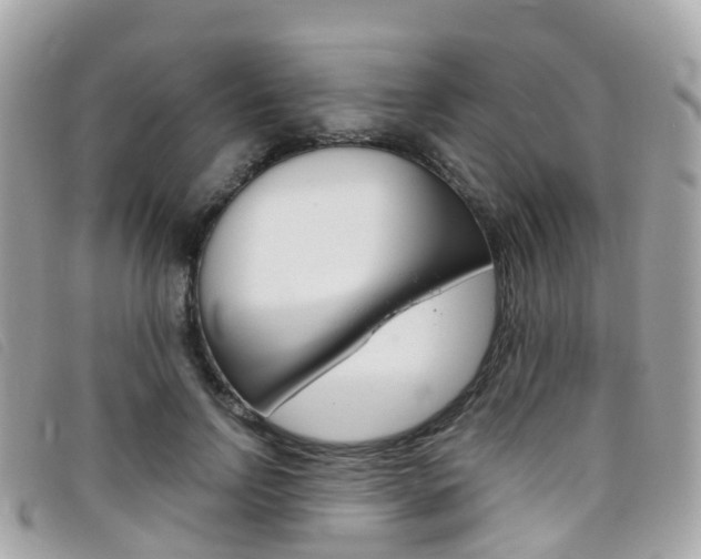X0000095910742200801110827