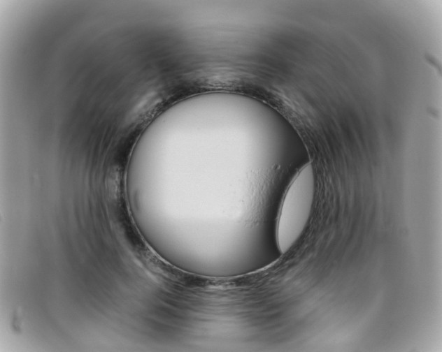 X0000095910744200801110827