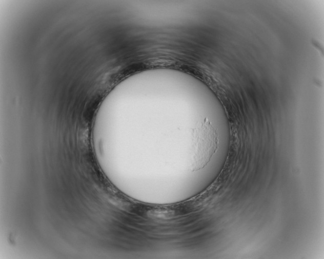 X0000095910745200801110827