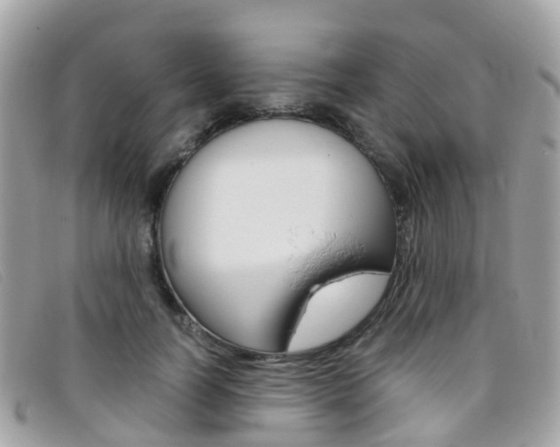 X0000095910746200801110827