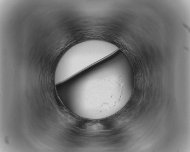 X0000095910747200801110827