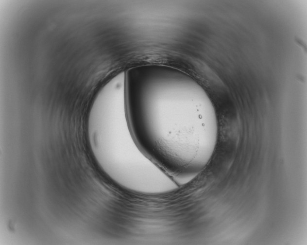 X0000095910748200801110827