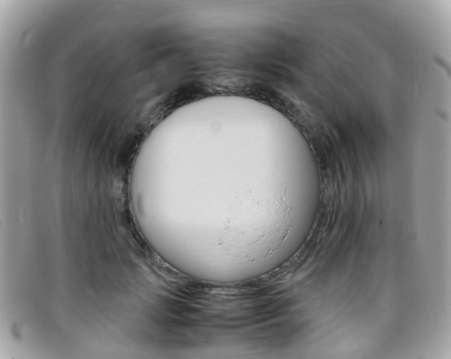X0000095910749200801110827