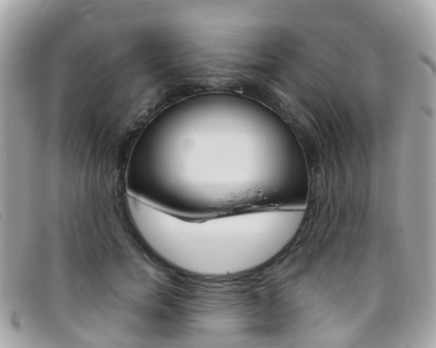X0000095910750200801110827