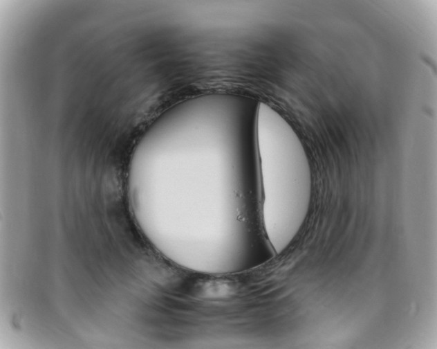 X0000095910751200801110827